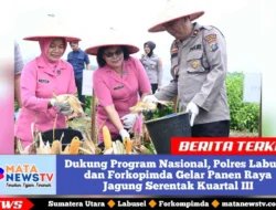 Dukung Program Nasional, Polres Labusel dan Forkopimda Gelar Panen Raya Jagung Serentak Kuartal III