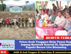 Polres Aceh Tenggara Gelar Panen Raya Jagung Serentak Kuartal III, Dipimpin Kapolri Secara Live Streaming