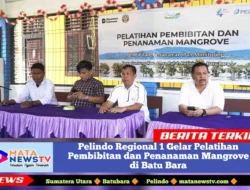 Pelindo Regional 1 Gelar Pelatihan Pembibitan dan Penanaman Mangrove di Batu Bara