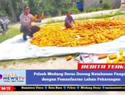 Polsek Medang Deras Dorong Ketahanan Pangan dengan Pemanfaatan Lahan Pekarangan
