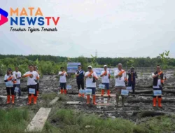 Pelindo Multi Terminal Group Tanam 11.000 Mangrove Bawa Manfaat Bagi Masyarakat