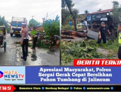 Apresiasi Masyarakat, Polres Sergai Gerak Cepat Bersihkan Pohon Tumbang di Jalinsum