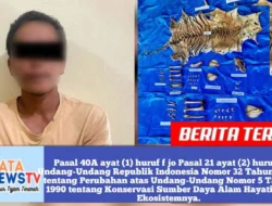 Polisi Tangkap Pelaku Perdagangan Satwa Dilindungi di Nagan Raya