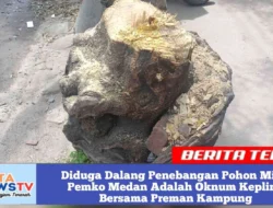 Diduga Dalang Penebangan Pohon Milik Pemko Medan Adalah Oknum Kepling Bersama Preman Kampung