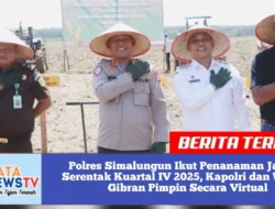 Polres Simalungun Ikut Penanaman Jagung Serentak Kuartal IV 2025, Kapolri dan Wapres Gibran Pimpin Secara Virtual