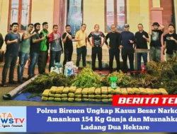 Polres Bireuen Ungkap Kasus Besar Narkotika, Amankan 154 Kg Ganja dan Musnahkan Ladang Dua Hektare