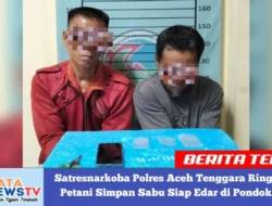 Satresnarkoba Polres Aceh Tenggara Ringkus Dua Petani Simpan Sabu Siap Edar di Pondok Kebun