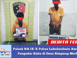 Polsek NA IX-X Polres Labuhanbatu Amankan Pengedar Sabu di Desa Simpang Merbau
