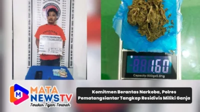 Komitmen Berantas Narkoba, Polres Pematangsiantar Tangkap Residivis Miliki Ganja