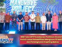 BNCT dan SPTP Kolaborasi Pulihkan Ekosistem Pesisir Lewat Rehabilitasi Mangrove 22 Hektare dan Penangkaran Kepiting Bakau