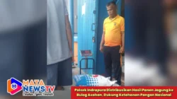 Polsek Indrapura Distribusikan Hasil Panen Jagung ke Bulog Asahan, Dukung Ketahanan Pangan Nasional