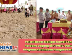 Polsek Bosar Maligas Kawal Tanam Perdana Jagung di PTPN IV, Dukung Program Ketahanan Pangan Presiden