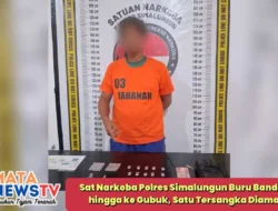 Sat Narkoba Polres Simalungun Buru Bandar Sabu hingga ke Gubuk, Satu Tersangka Diamankan