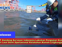 BNCT Gandeng Surveyor Indonesia Lakukan Pengujian Kualitas Air Laut Demi Operasional Pelabuhan Ramah Lingkungan