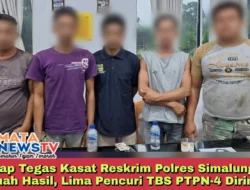 Sikap Tegas Kasat Reskrim Polres Simalungun Berbuah Hasil, Lima Pencuri TBS PTPN-4 Diringkus