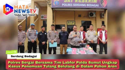 Polres Sergai Bersama Tim Labfor Polda Sumut Ungkap Kasus Penemuan Tulang Belulang di Dalam Pohon Aren