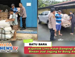 Kapolsek Lima Puluh Dampingi Petani Binaan Jual Jagung ke Bulog Asahan