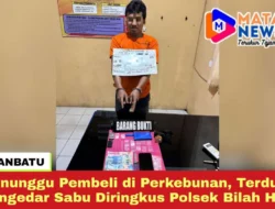 Menunggu Pembeli di Perkebunan, Terduga Pengedar Sabu Diringkus Polsek Bilah Hilir
