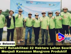 BNCT Rehabilitasi 22 Hektare Lahan Sawit Menjadi Kawasan Mangrove Produktif