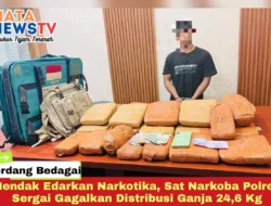 Hendak Edarkan Narkotika, Sat Narkoba Polres Sergai Gagalkan Distribusi Ganja 24,6 Kg