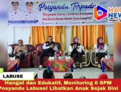 Hangat dan Edukatif, Monitoring 6 SPM Posyandu Labusel Libatkan Anak Sejak Dini