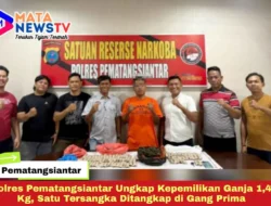 Polres Pematangsiantar Ungkap Kepemilikan Ganja 1,4 Kg, Satu Tersangka Ditangkap di Gang Prima