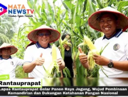 Lapas Rantauprapat Gelar Panen Raya Jagung, Wujud Pembinaan Kemandirian dan Dukungan Ketahanan Pangan Nasional