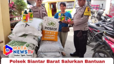 Polsek Siantar Barat, Bantuan Pertanian, Ketahanan Pangan, Petani Jagung, Polres Pematangsiantar, Pemko Pematangsiantar