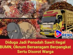 Diduga Jadi Penadah Sawit Ilegal BUMN, Oknum Berseragam Disorot Warga