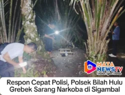 Respon Cepat Polisi, Polsek Bilah Hulu Grebek Sarang Narkoba di Sigambal,