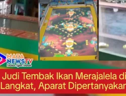 Judi Tembak Ikan Merajalela di Langkat, Aparat Dipertanyakan