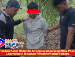 Puluhan Kasus Narkotika Terungkap Sepanjang 2025, Polres Labuhanbatu Tegaskan Perang terhadap Narkoba