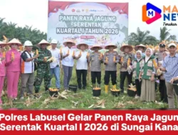 Polres Labusel Gelar Panen Raya Jagung Serentak Kuartal I 2026 di Sungai Kanan