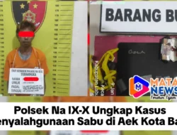 Polsek Na IX-X Ungkap Kasus Penyalahgunaan Sabu di Aek Kota Batu