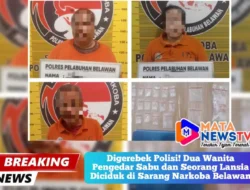 Digerebek Polisi! Dua Wanita Pengedar Sabu dan Seorang Lansia Diciduk di Sarang Narkoba Belawan