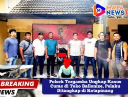 Polsek Torgamba Ungkap Kasus Curas di Toko Ballonize, Pelaku Ditangkap di Kotapinang