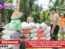 Kapolsek Tanah Jawa Pimpin Panen Jagung 35 Goni dari Lahan Polsek, Dukung Ketahanan Pangan
