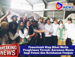 Pemerintah Siap Sikat Mafia Pengiriman Ternak: Ancaman Nyata bagi Petani dan Ketahanan Pangan