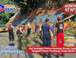 Sat Samapta Polres Karimun Gerak Cepat Tangani Pohon Tumbang Timpa Mobil