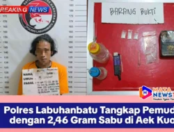 Polres Labuhanbatu Tangkap Pemuda dengan 2,46 Gram Sabu di Aek Kuo