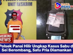 Polsek Panai Hilir Ungkap Kasus Sabu di Sei Berombang, Satu Pria Diamankan