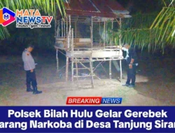 Polsek Bilah Hulu Gelar Gerebek Sarang Narkoba di Desa Tanjung Siram