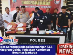 Polres Serdang Bedagai Musnahkan 13,8 Kilogram Ganja, Tegaskan Komitmen Berantas Narkoba