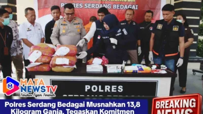 Polres Serdang Bedagai Musnahkan 13,8 Kilogram Ganja, Tegaskan Komitmen Berantas Narkoba