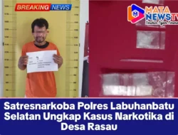 Satresnarkoba Polres Labuhanbatu Selatan Ungkap Kasus Narkotika di Desa Rasau