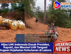 Hijau LHK Indonesia Desak Presiden, Kapolri, dan Menteri LHK Tangani Dugaan Kejahatan Kehutanan di Labura