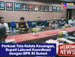 Perkuat Tata Kelola Keuangan, Bupati Labusel Koordinasi dengan BPK RI Sumut