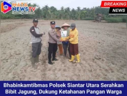 Bhabinkamtibmas Polsek Siantar Utara Serahkan Bibit Jagung, Dukung Ketahanan Pangan Warga