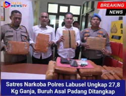 Satres Narkoba Polres Labusel Ungkap 27,8 Kg Ganja, Buruh Asal Padang Ditangkap