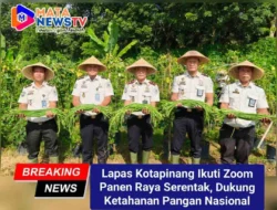 Lapas Kotapinang Ikuti Zoom Panen Raya Serentak, Dukung Ketahanan Pangan Nasional